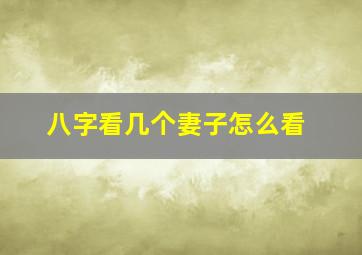 八字看几个妻子怎么看