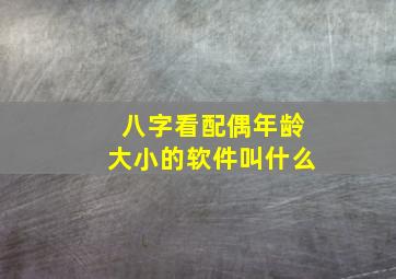 八字看配偶年龄大小的软件叫什么