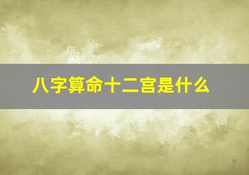 八字算命十二宫是什么