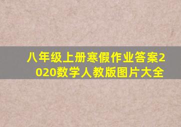 八年级上册寒假作业答案2020数学人教版图片大全