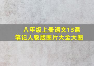 八年级上册语文13课笔记人教版图片大全大图