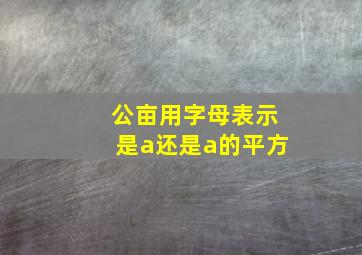 公亩用字母表示是a还是a的平方