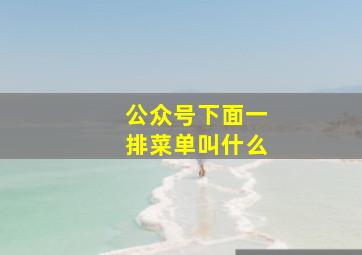 公众号下面一排菜单叫什么