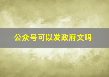 公众号可以发政府文吗