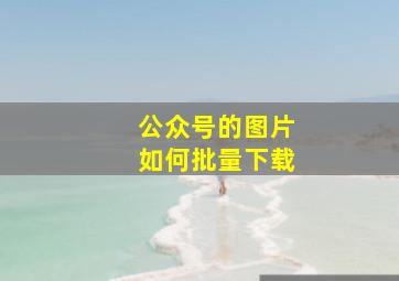 公众号的图片如何批量下载