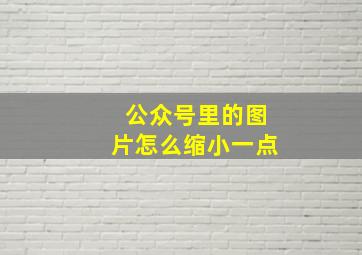 公众号里的图片怎么缩小一点