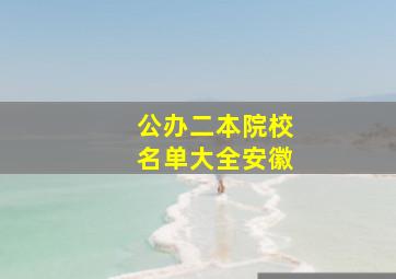 公办二本院校名单大全安徽