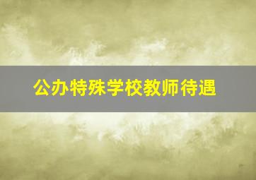 公办特殊学校教师待遇