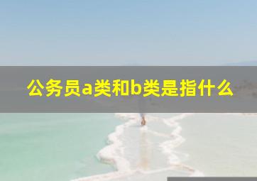 公务员a类和b类是指什么