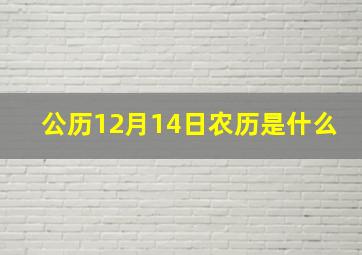 公历12月14日农历是什么