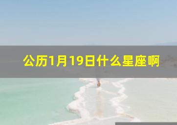 公历1月19日什么星座啊