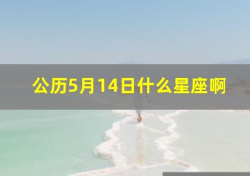 公历5月14日什么星座啊