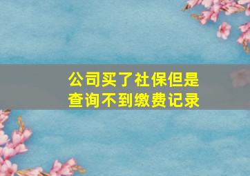 公司买了社保但是查询不到缴费记录