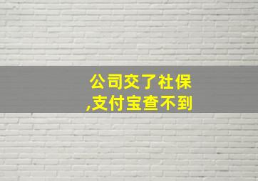 公司交了社保,支付宝查不到