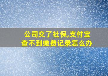 公司交了社保,支付宝查不到缴费记录怎么办