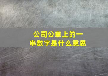 公司公章上的一串数字是什么意思