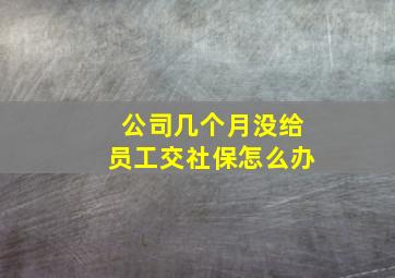 公司几个月没给员工交社保怎么办