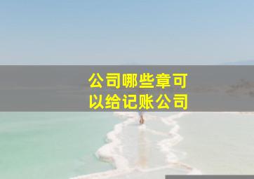 公司哪些章可以给记账公司