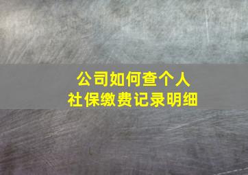 公司如何查个人社保缴费记录明细