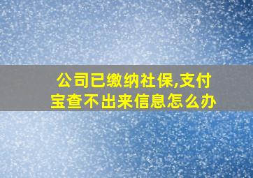 公司已缴纳社保,支付宝查不出来信息怎么办