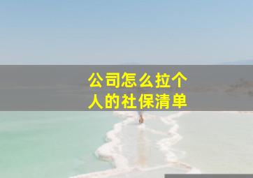 公司怎么拉个人的社保清单