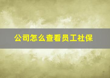 公司怎么查看员工社保