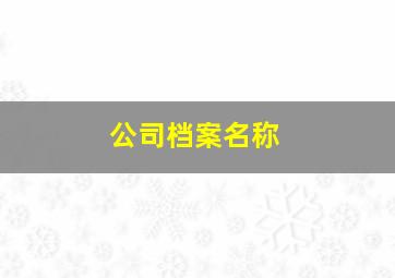 公司档案名称