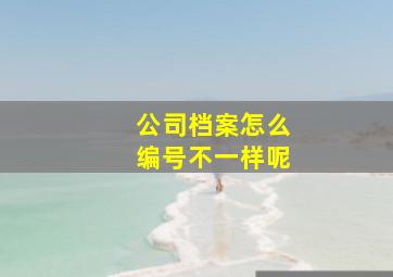 公司档案怎么编号不一样呢