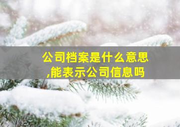 公司档案是什么意思,能表示公司信息吗