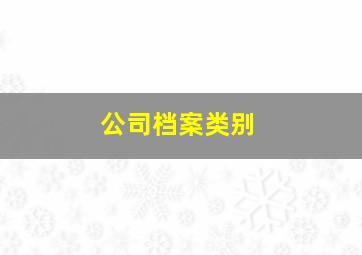 公司档案类别