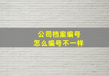 公司档案编号怎么编号不一样