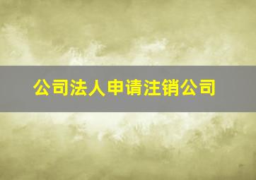 公司法人申请注销公司