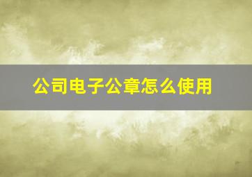 公司电子公章怎么使用