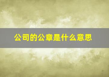 公司的公章是什么意思