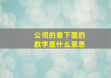 公司的章下面的数字是什么意思