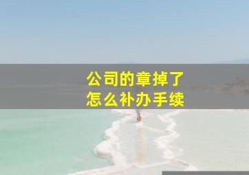 公司的章掉了怎么补办手续