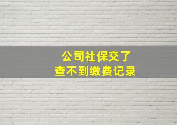 公司社保交了查不到缴费记录