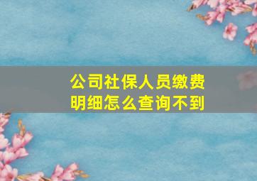 公司社保人员缴费明细怎么查询不到