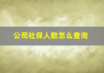 公司社保人数怎么查询