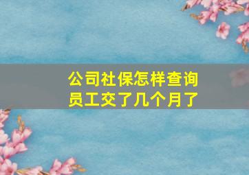 公司社保怎样查询员工交了几个月了