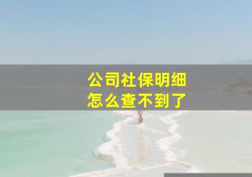 公司社保明细怎么查不到了