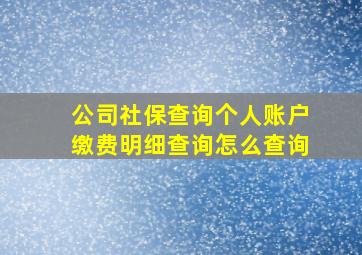 公司社保查询个人账户缴费明细查询怎么查询