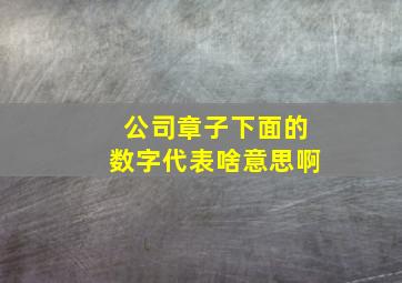 公司章子下面的数字代表啥意思啊