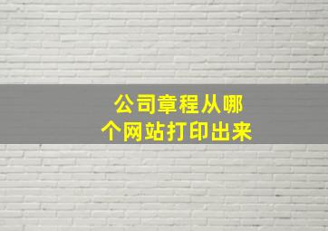 公司章程从哪个网站打印出来