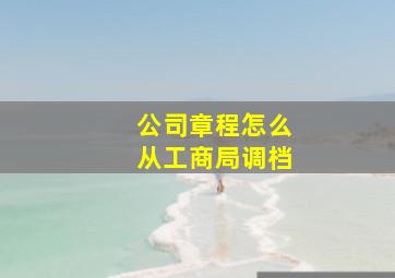 公司章程怎么从工商局调档