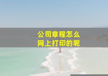 公司章程怎么网上打印的呢