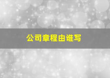 公司章程由谁写