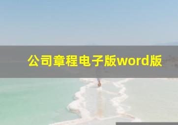 公司章程电子版word版