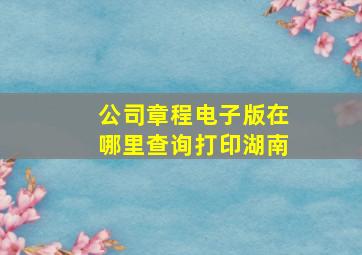 公司章程电子版在哪里查询打印湖南