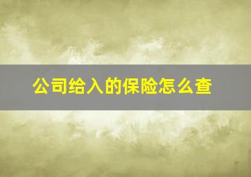 公司给入的保险怎么查